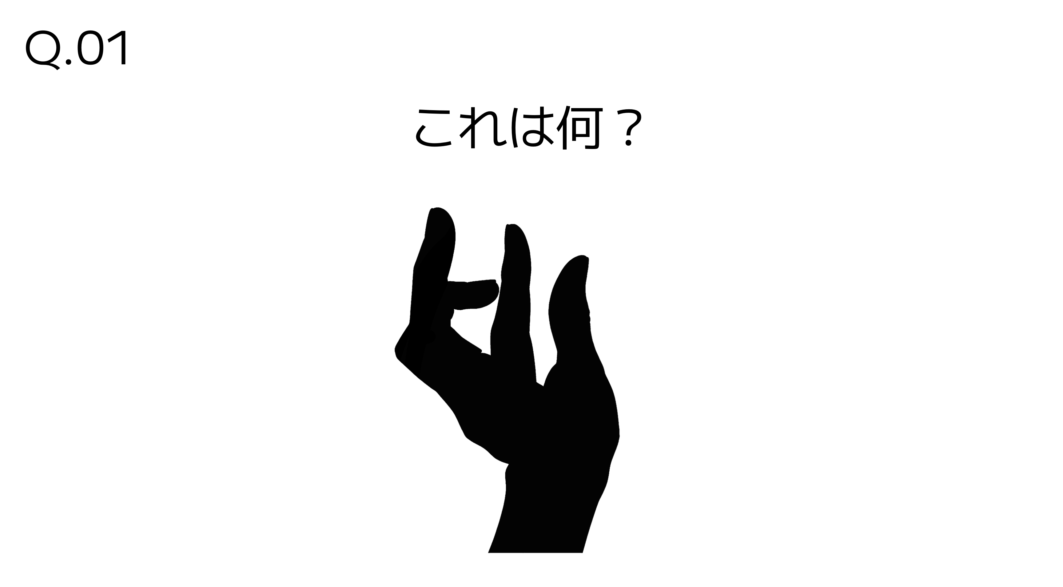 Q.01